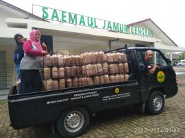 BUDIDAYA JAMUUR TIRAM & PENYEDIAAN BAGLOG JAMUR